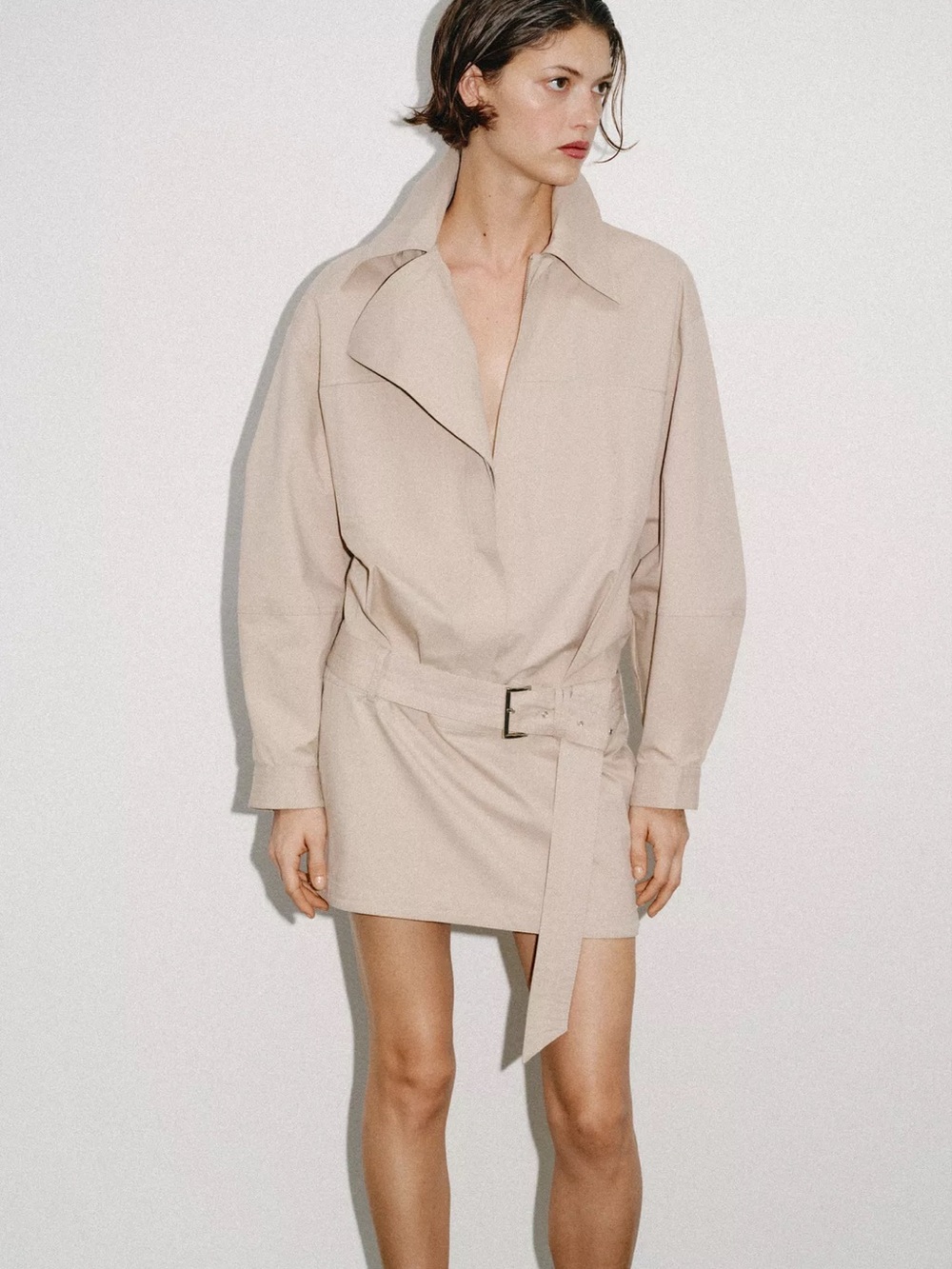 Zara Belted Mini Dress